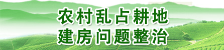 农村乱占耕地建房问题整治